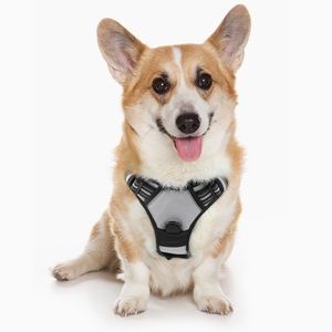 Dog Harness NWT